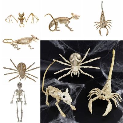 Skeleton Model Halloween Bats Skeleton Bat Mouse Lizard Scorpion Animal Model  Halloween