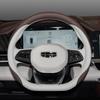 Leather Car Steering Wheel Cover for Geely Coolray Preface Monjaro Starray Emgrand Cityray Boyue L Okovango Accessory 2025 2026