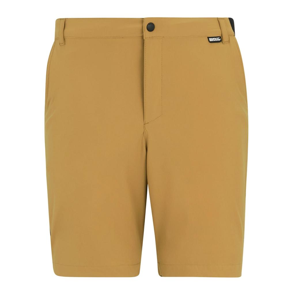 Regatta Professional Mens Light Insect Repellent Travel Shorts