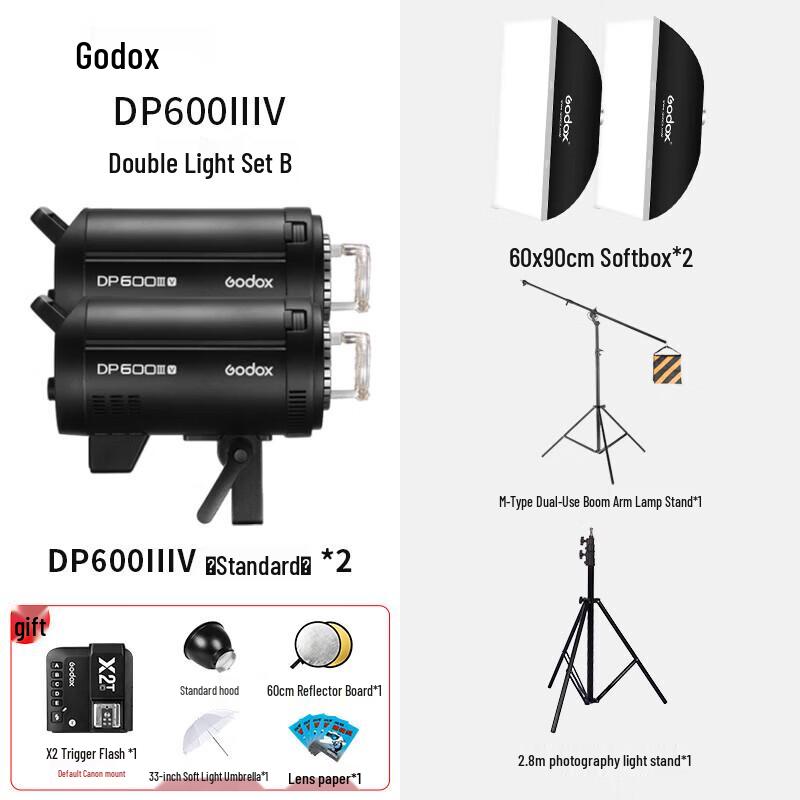Godox DPIIIV-600W Studio Flash Softbox Kit B