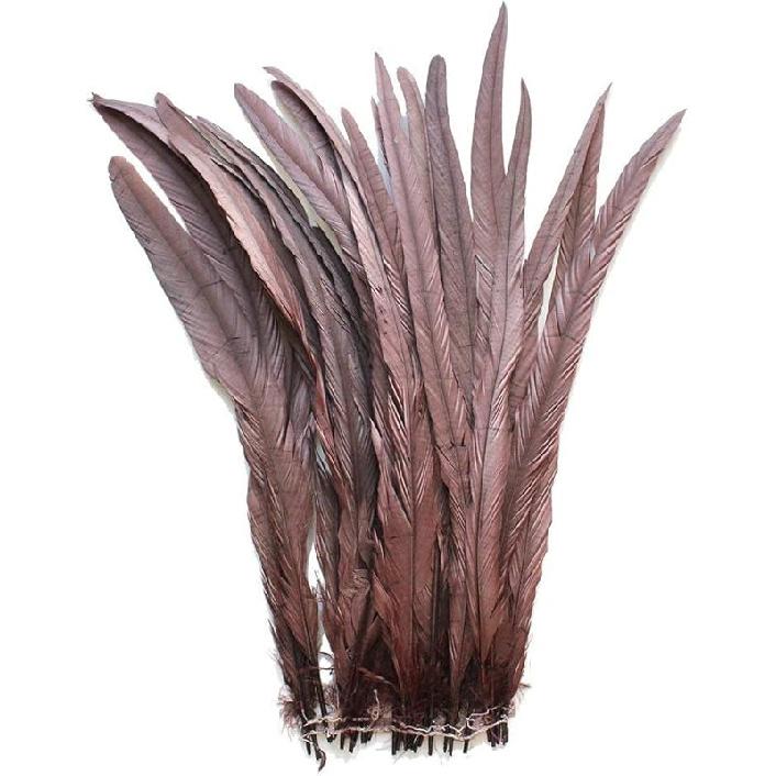 Nature Rooster Coque Tails Feathers Costume Craft Decoration 12-14inch Pack of 25 (black)