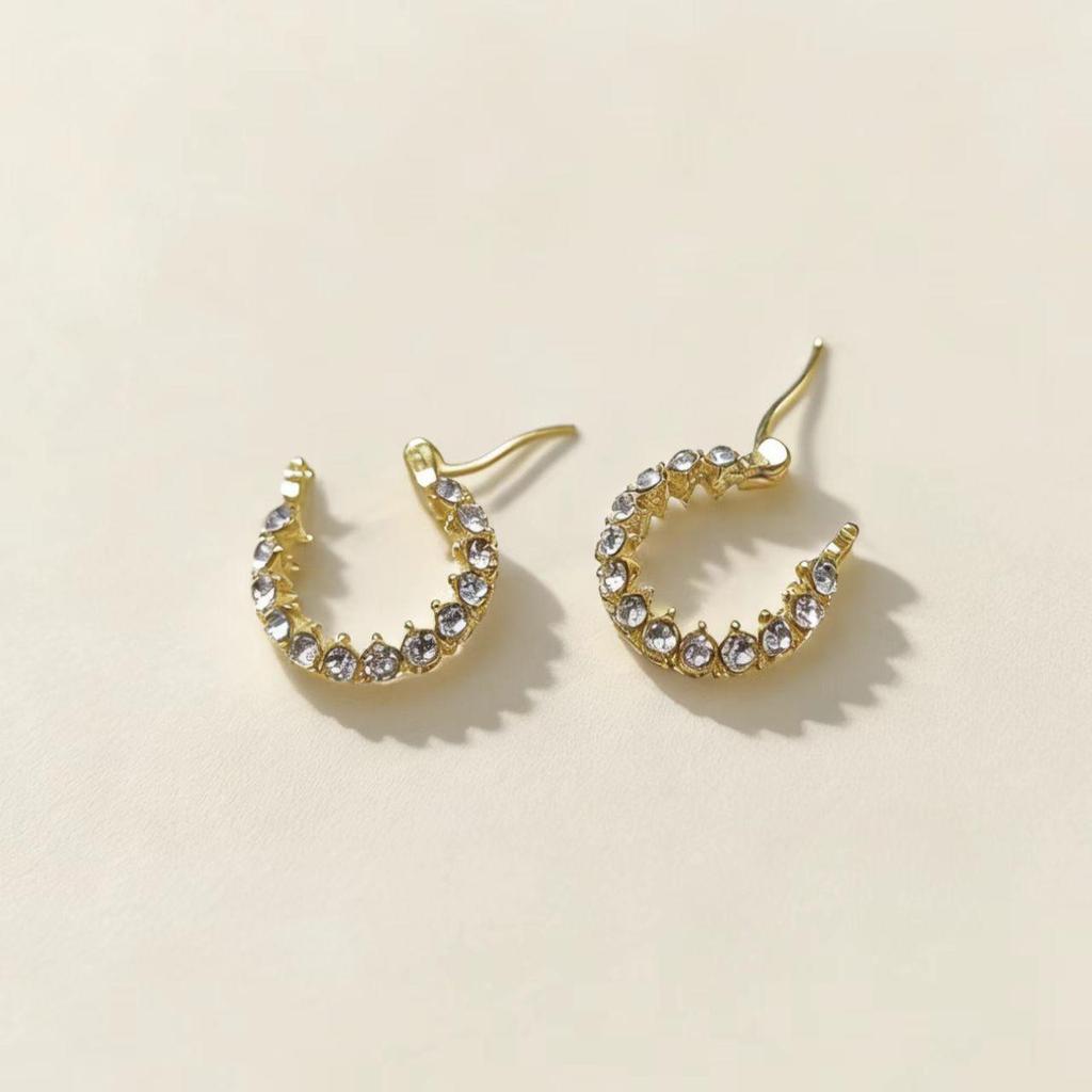 Autumn/Winter Crystal Hoop Earrings: High-End Retro Luxury Full Diamond Design for Women - Versatile and Chic.