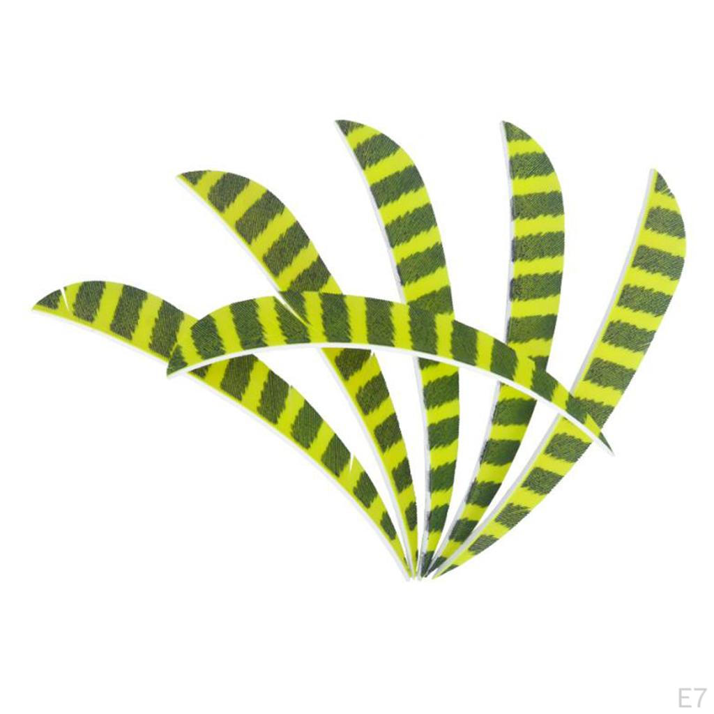 12 Pcs Shield Cut Turkey Feather Fletch Fletching Shape