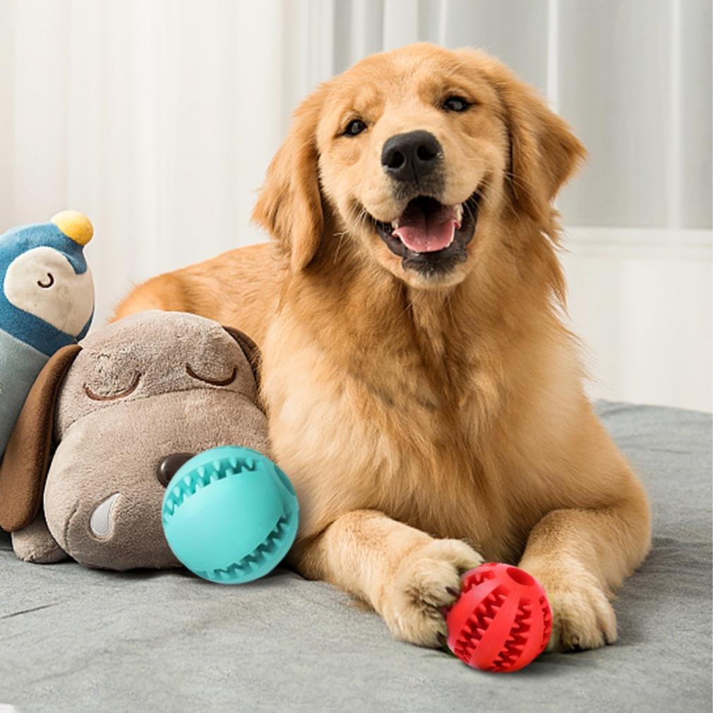 Durable TPR Rubber Molar Ball for Dogs - Bite-Resistant Toy for Golden Retrievers & Teddy Breeds