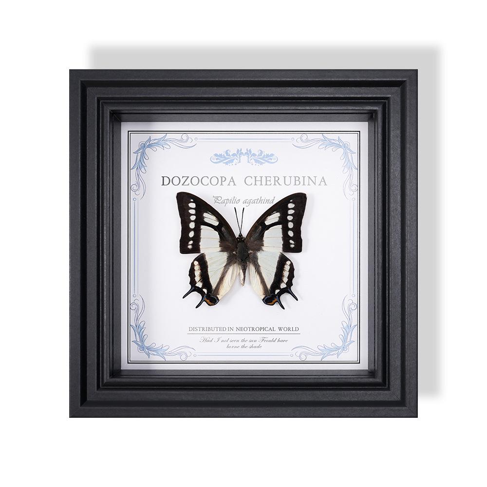 Wall-Mounted Butterfly Specimen Photo Frame: Home Decor & Gift for Valentine's Day, Qixi, Birthday, Couples & Insect Lovers