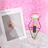 2PCS Black Wall Hanging Vase Iron Wall Mount Flower Vase Modern Metal Wall Vase  Bedroom