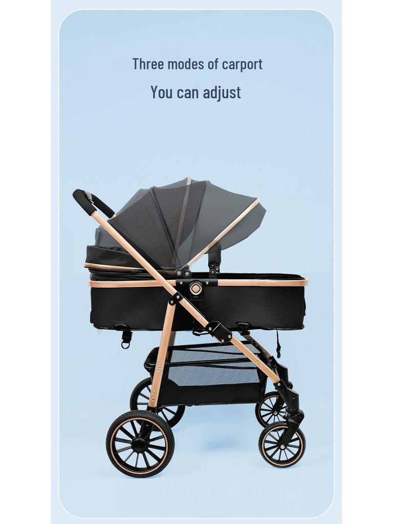 High Landscape Reversible Baby Stroller & Reclining Tricycle, Three-in-One with Large Wheels