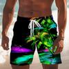 Tropical Sunset Beach Shorts Men's Palm Tree Print Quick Dry Swim Trunks For Beach Wear Oversized Men's Surf Shorts