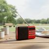 Rechargeable Radio Speaker USB Port FM Radio Support TF Card Music Player  Handheld Device