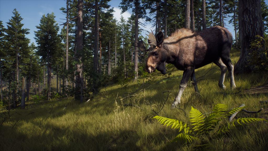 Way of the Hunter North PS5 (Import America) -