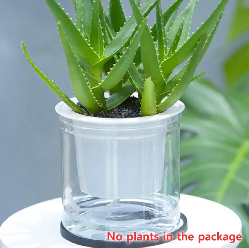

Прозрачный ленивый цветочный горшок, автоматический водопоглощающий пластиковый цветочный горшок круглой формы, креативное цветочное кашпо
