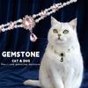 Kedi – Kedi Boyunluk ve Tasmaları