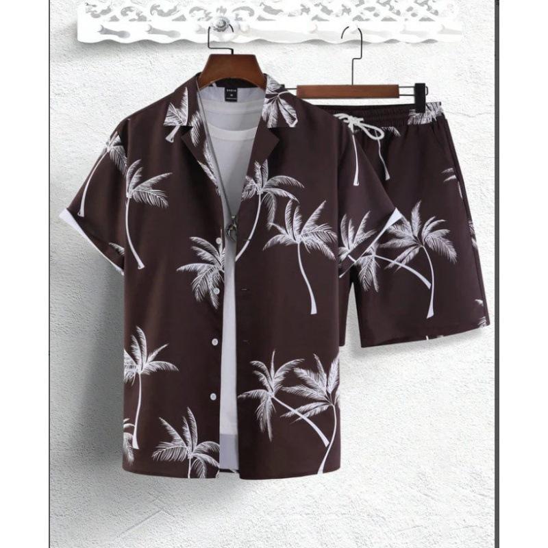 Men's 3D Print Hawaiian Shirt & Shorts Set - Casual Beachwear