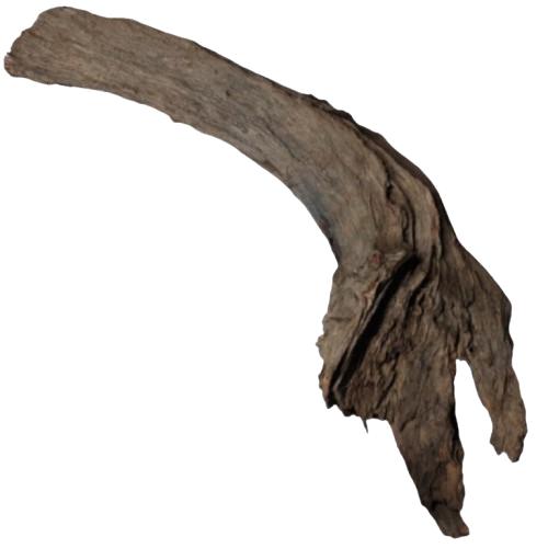 Buddha Driftwood 31-40 Cm