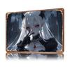 WhiteHaired Demoness D Printed Texture Poster Personalized Wall Art Retro Metal Tin Signs for Office Decoration Gaming House
