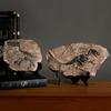 NORTHEUINS Resin Dinosaur Fossil Figurines Retro Animal Statue Miniature Interior Living Room Decor Souvenirs for Home Gifts