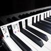 Fortepijono klaviatūros lipdukai 88 klavišai, nuimami muzikos lipdukai, užrašai Elektroninis fortepijonas fortepijono spektro lipdukas, simbolis, daugkartinis