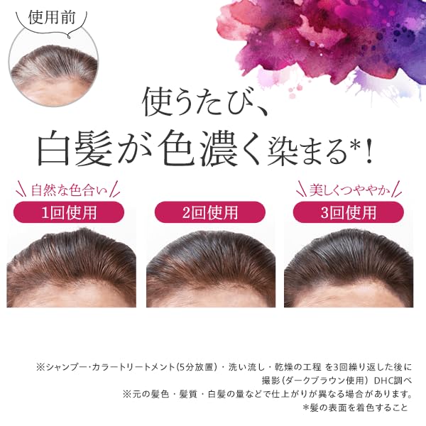 DHC Q10 Premium Color Treatment 235g (Black)