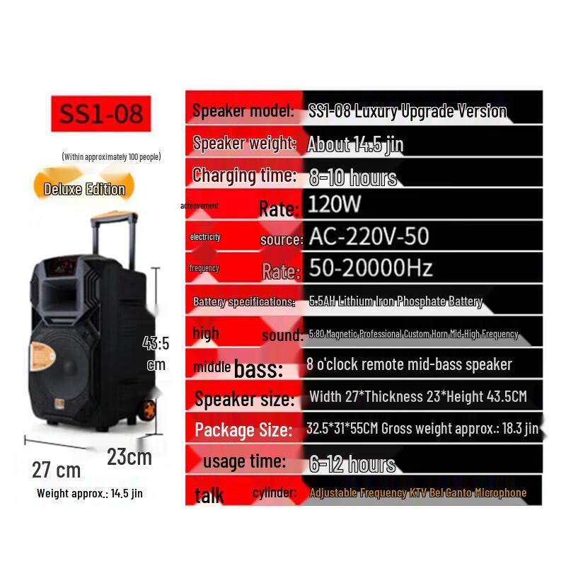 Portable Karaoke Bluetooth Speaker with Dual Wireless Microphones CN plug (adapter included)