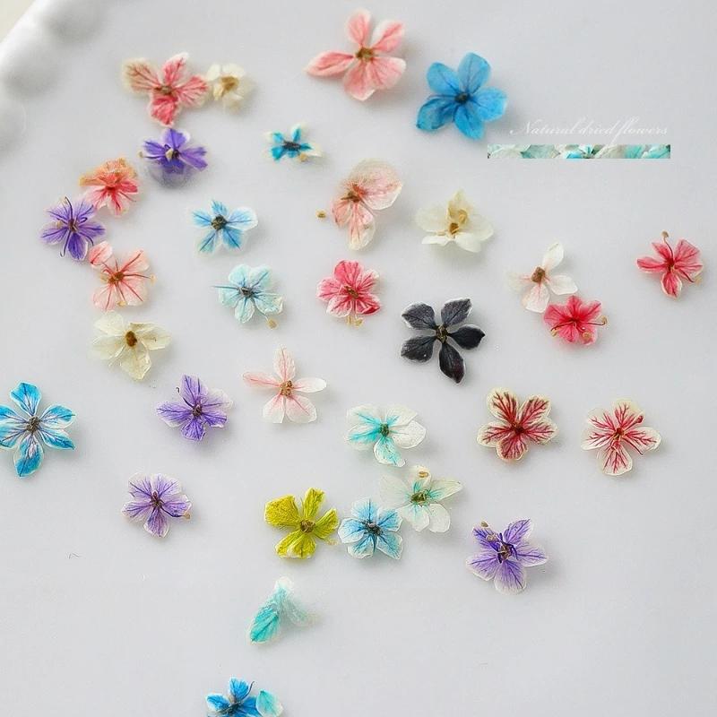 BEPAN 1PCS Summer Gradient Floral Nail Art Dried Flower Mixed Colors Natural Pressed Flowers Handmade DIY Boxed Wearable Nail Material