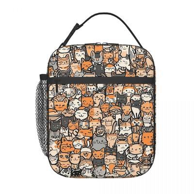 Cartoon Colour Kitten Pattern Insulated Lunch Bag for Women Kids Leakproof Food Boxes Thermal Lunch Box Tote