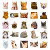 50PCS Realistic Cat Stickers, Cute Dumbfounded Expression Decals for Water Bottle, Notebook & Journal