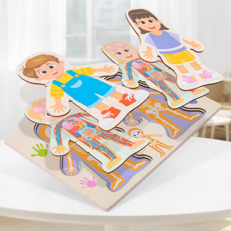 

Kid Human Body Structure Puzzle Toy Montessori Wooden Body Organs Learn Tools Boys Girls Anatomy Puzzle Preschool Education Toy