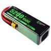 Zhenlinhu 5200mAh 6S 150C RC LiPo Battery