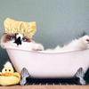 Pet Shower Ear Protection Waterproof Bath Hat for Cats and Dogs Pet Supplies