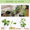 Honeycomb Wooden Plant Trellis 1Pcs Creative Stand for Indoor Potted Plants