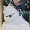 Straykids Skzoo Perfim Korean Quoca Mood Light