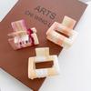 Fashion Forward Small Geometric Hair Claw Clip In Striking Gradient Colors Women For