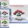 Faux Pine Plant With Injection Molding For Office Display