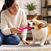 Squeaky Rubber Dog Toys for Puppy Teething, Interactive Training Pet Supplies