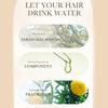 1Pc 500ML Glycerin Shampoo or Conditioner or 500g Hair Mask Moisturizing Strengthening Hair Care for All Hair Types Men Women
