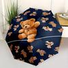 Accesorii – Umbrele