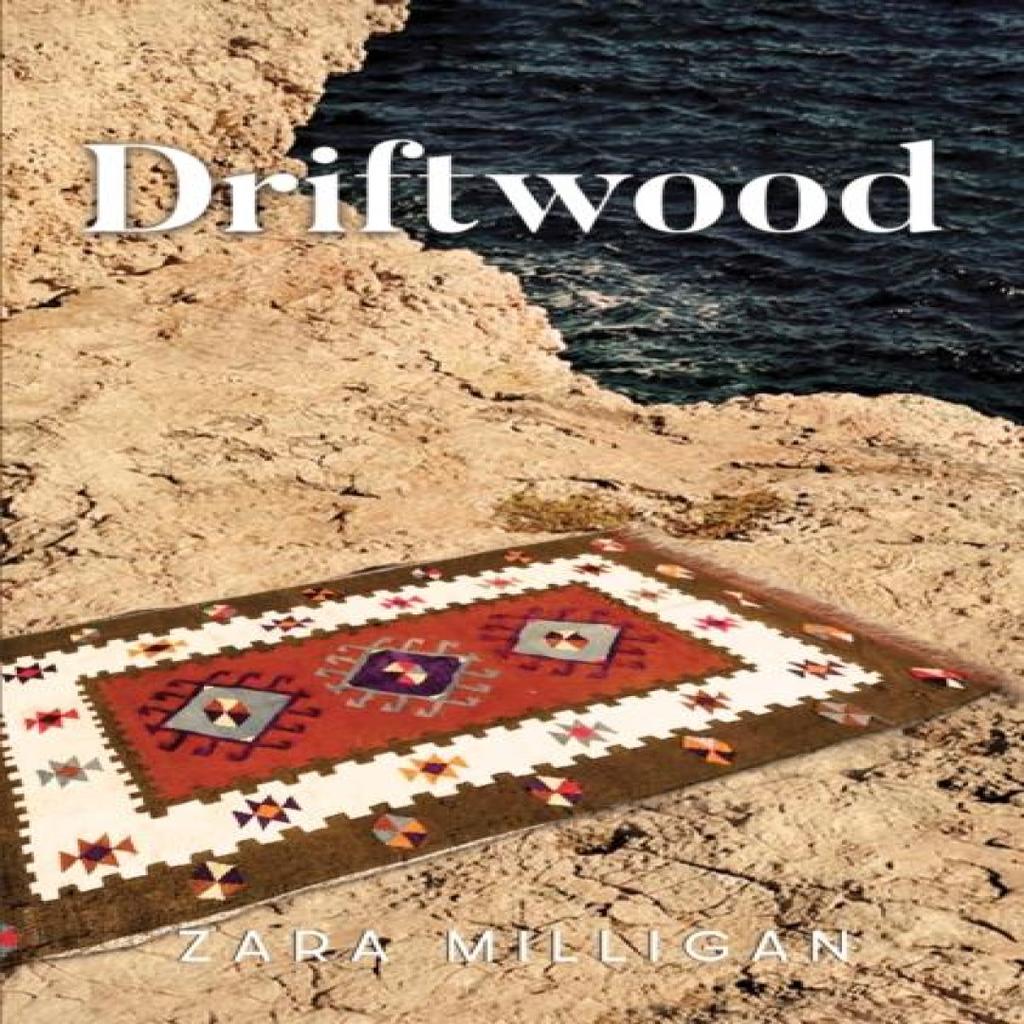 Driftwood by Zara Milligan Paperback Book 9781837945689
