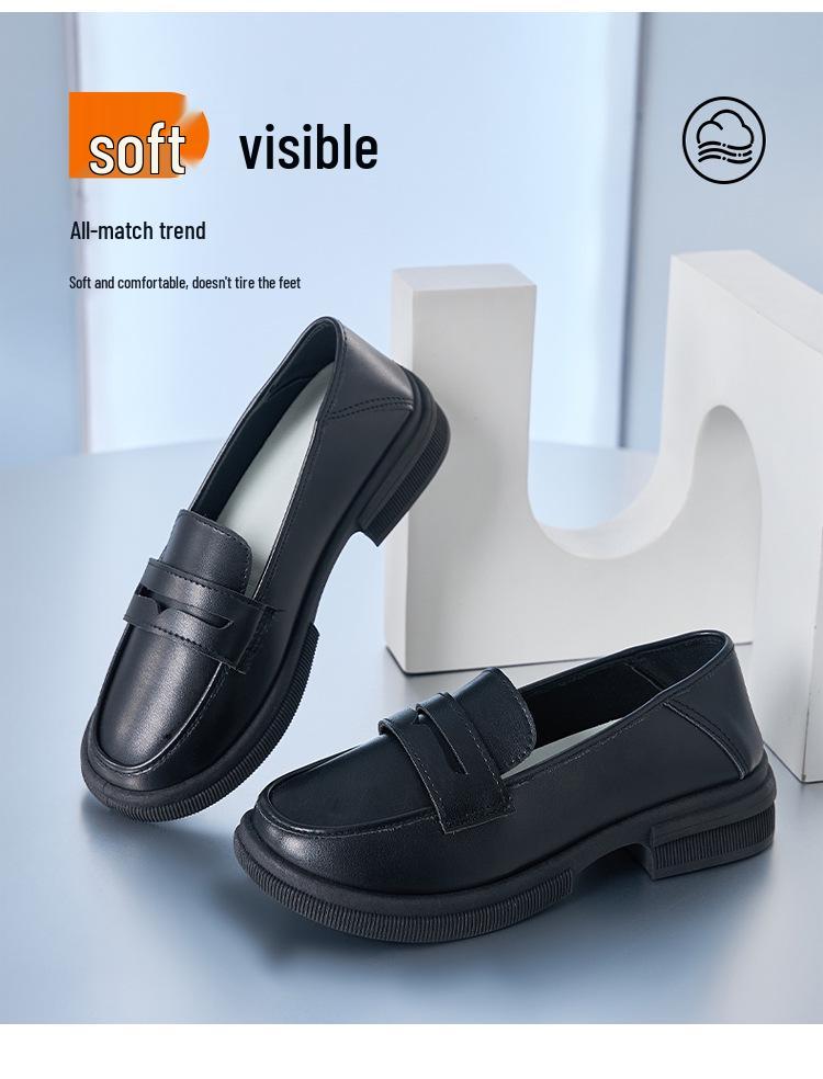 2025 Comfortable Women's Chunky Heel Loafers: Thick-Soled, Soft Leather Slip-On Work & Casual Shoes