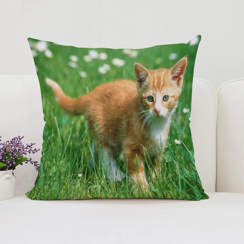 Cute Cat Decorative Pillow Cover 45x45 Cushions Covers Pillowcase 45*45 Bed Pillowcases Cover for Living Room Cushions Cushion