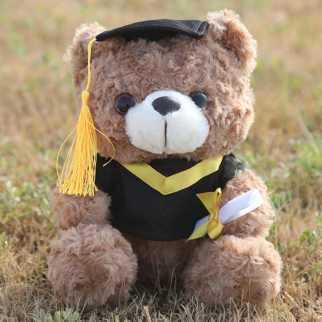 Graduation Teddy Bear Plush Toy With Pp Cotton Filling For Birthday Gift Girls