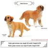 Realistic Wild Animal Models: Rhino, Hippo, Panda, Jaguar, Lion, Camel Cognitive Toys for Children