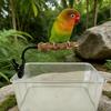 Adjustable Bird Training Perch With Easy Mounting Clip On Design for Cage Table Bird Standing Perch Cage Accessories