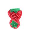6cm Strawberry Pin Pack Cloth Needle Toolkit