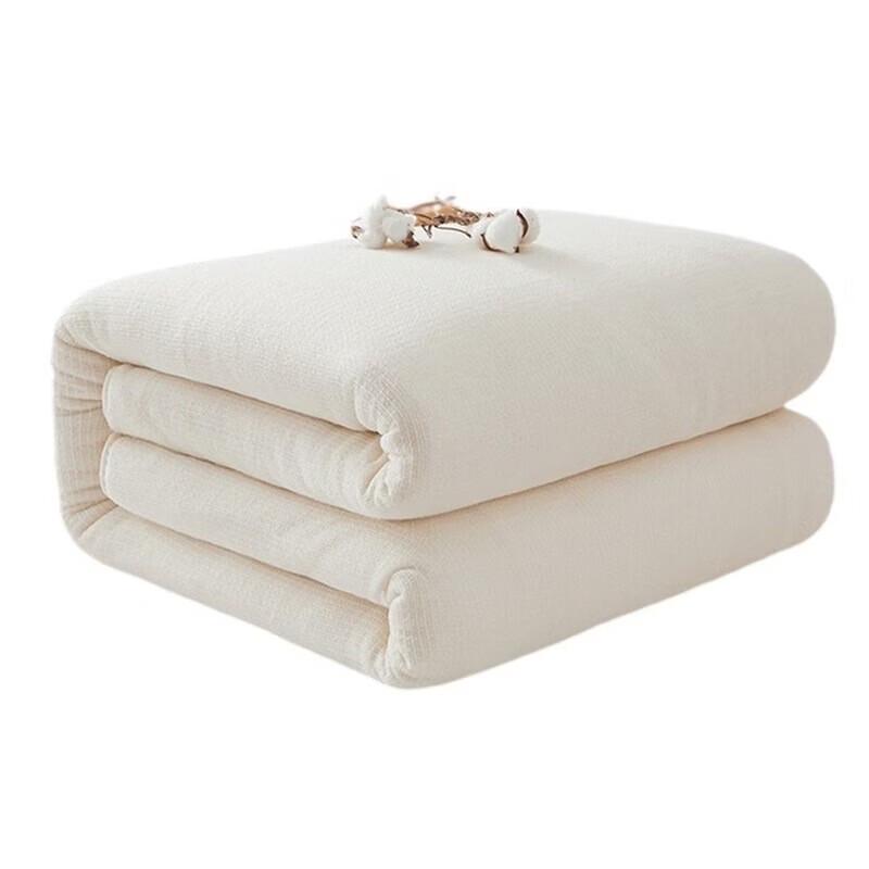 Xinjiang Cotton Winter Quilt Comforter