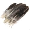 Feathers .6 Inch Craft for Wedding Party Decor Pack of 50