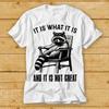 Es ist, wie es ist, und es ist nicht toll Chillin Waschbär Witz Meme T-Shirt Tee 2396