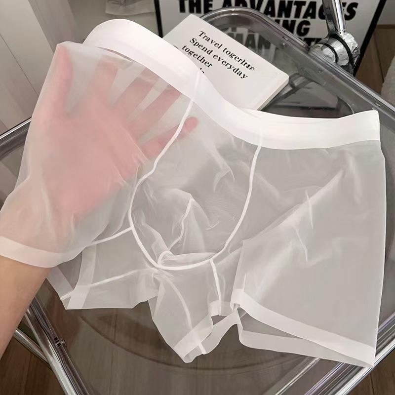 Men's Transparent Underwear Is Soft Comfortable Breathable Mesh Woven Elastic Waistband Quick Drying Casual Sexy Transparent Underwear