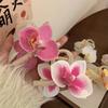 Butterfly Orchid Flower Hair Claw Cloth Large Shark Clip Cute Orchid Hair Clip  Female