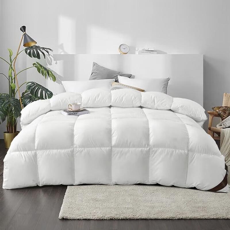 

LuYiKaLuo Winter Down Alternative Comforter