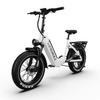 Maxturn Verve Elektrofahrrad für Erwachsene 250W Motor 48V 13Ah Akku 20 Zoll Geländereifen Elektrofahrrad